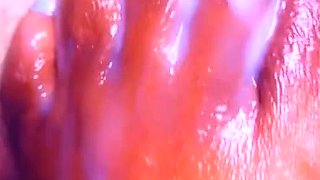 Amateur striptease and Solo masturbation