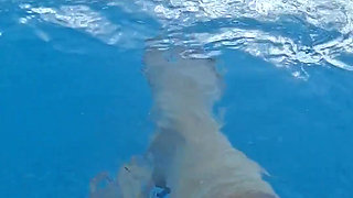 Let Me Bring You Into My Element