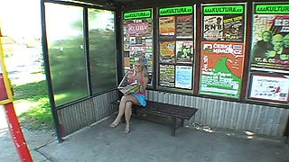 Bus Stop Encounter