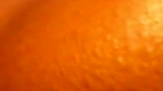 Oil up Ass and Lovense Lush Madness