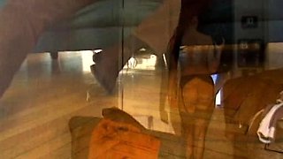 Blowjob Threesome Babes Swallow Jizz