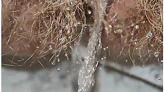 Huge Hayry Pussy Peeing Along With Loud Anal Farting For Toilet Fetish Lovers Only!