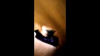 Tia Tizzianni - AfterClub Young Zoie and Stud Sizzling BJ