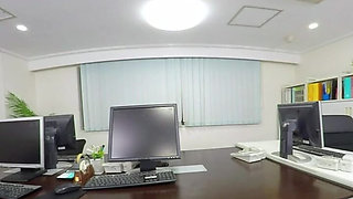 Is It a Shura or a Harem Under the Office Desk?