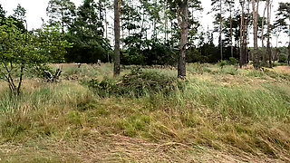 Try not to cum challenge - Best of hitting her Ass 2025