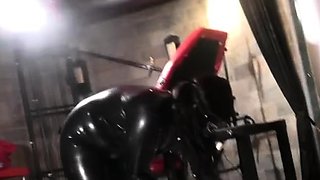 Goddess Kimberley - Savage Cock Box Sissy CBT Trampling -