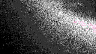 What for connoisseurs