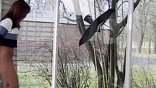 Couples in Private - That's How the Germans Drive It in Private (1998)